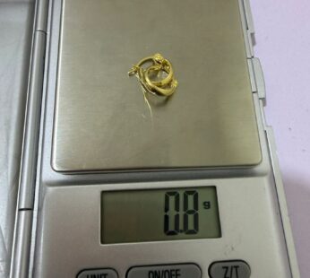 Noble Gold Earrings